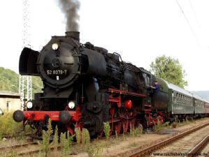 P1017100bearb.jpg