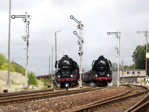 P1017561b.jpg